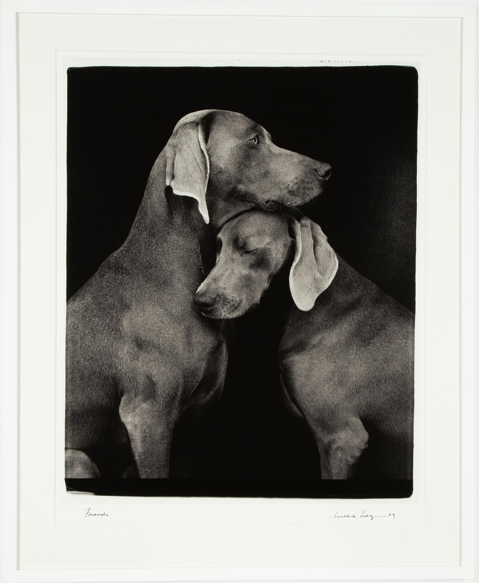 William Wegman, "Friends".