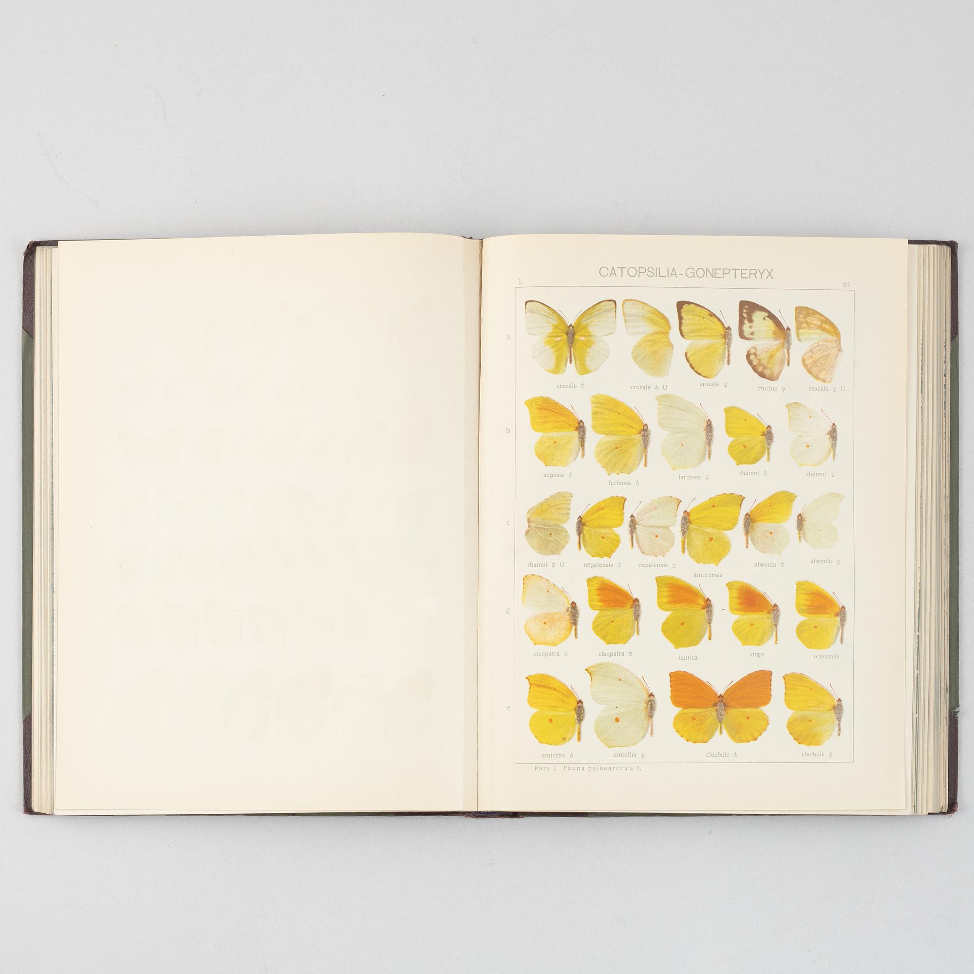 Four volumes of "Die Gross Schmetterling der Erde" by Dr. Adalbert Seitz, Stuttgart, Germany, 1912-15.