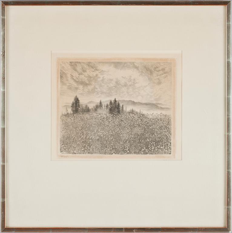 STIG BORGLIND, torrnålsgravyr, sign.