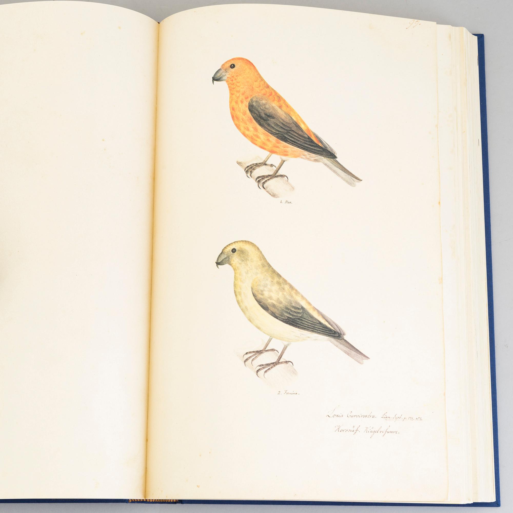 Olof Rudbeck the younger, a portfolio and two books, 1985. Numbered 574/1499. 14 litographs in color are included.