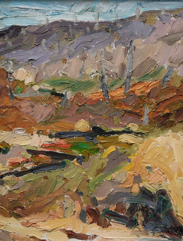 Olle Skagerfors, Landscape.