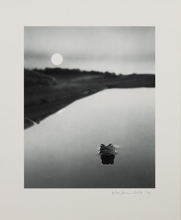 Pentti Sammallahti, Utan titel, 1974.