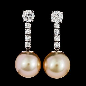 1062. A pair odf diamond and cultured golden South sea pearl earrings, tot. app. 1.50 cts.