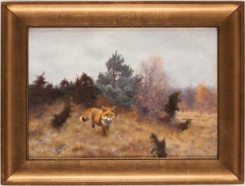 Bruno Liljefors, Fox in a fall landscape.