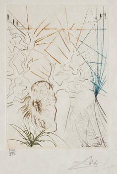 Salvador Dalí,  "Much Ado about Shakespeare".