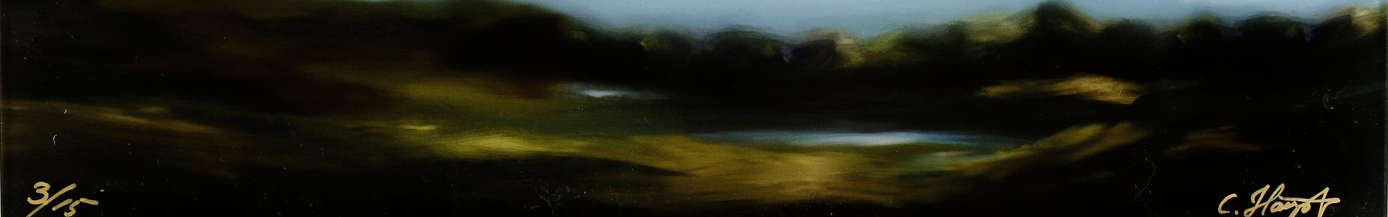 CECILIA HAUPT, gicléetryck på plexiglas, signerad och numrerad 3/15.