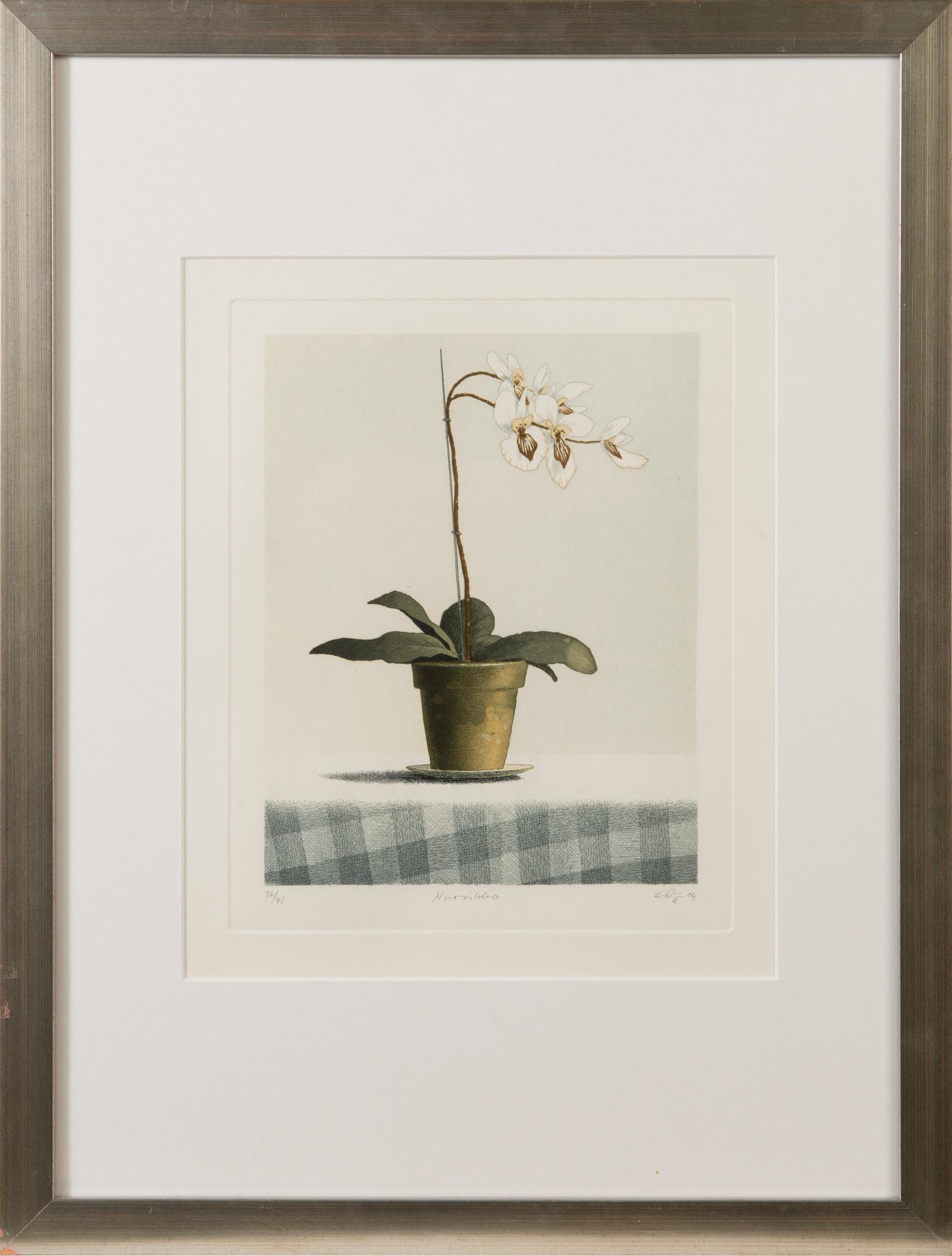 ESA RIIPPA, etching, signed and dated -04, numbered 56/75.