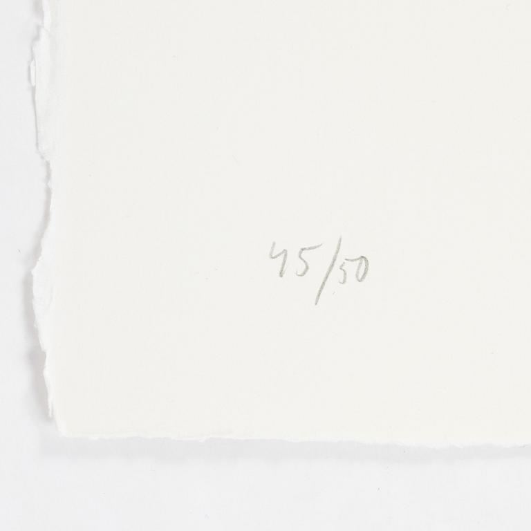 Jan Håfström, färgetsning, 2020, signerad 45/50.