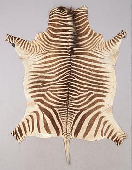 ZEBRASKINN, 1900-tal.