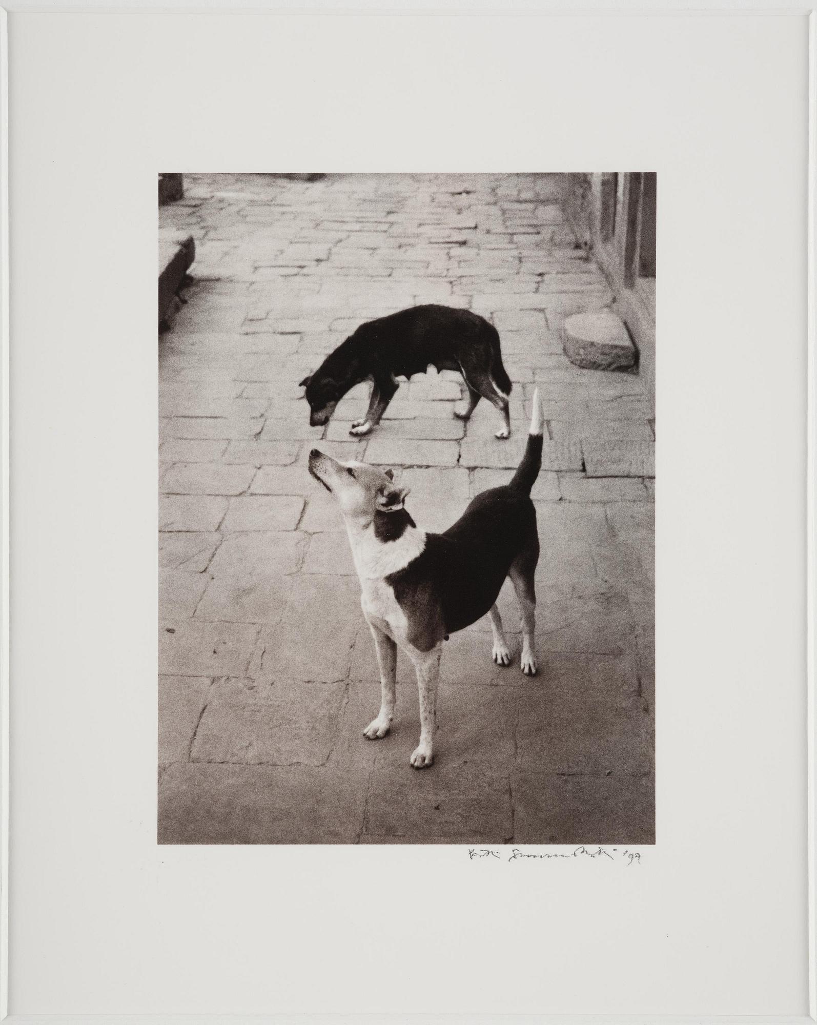Pentti Sammallahti, "Swayambhunath, Nepal, 1994".