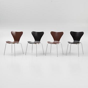 Arne Jacobsen, stolar, 4 st, "Sjuan", Fritz Hansen, Danmark.