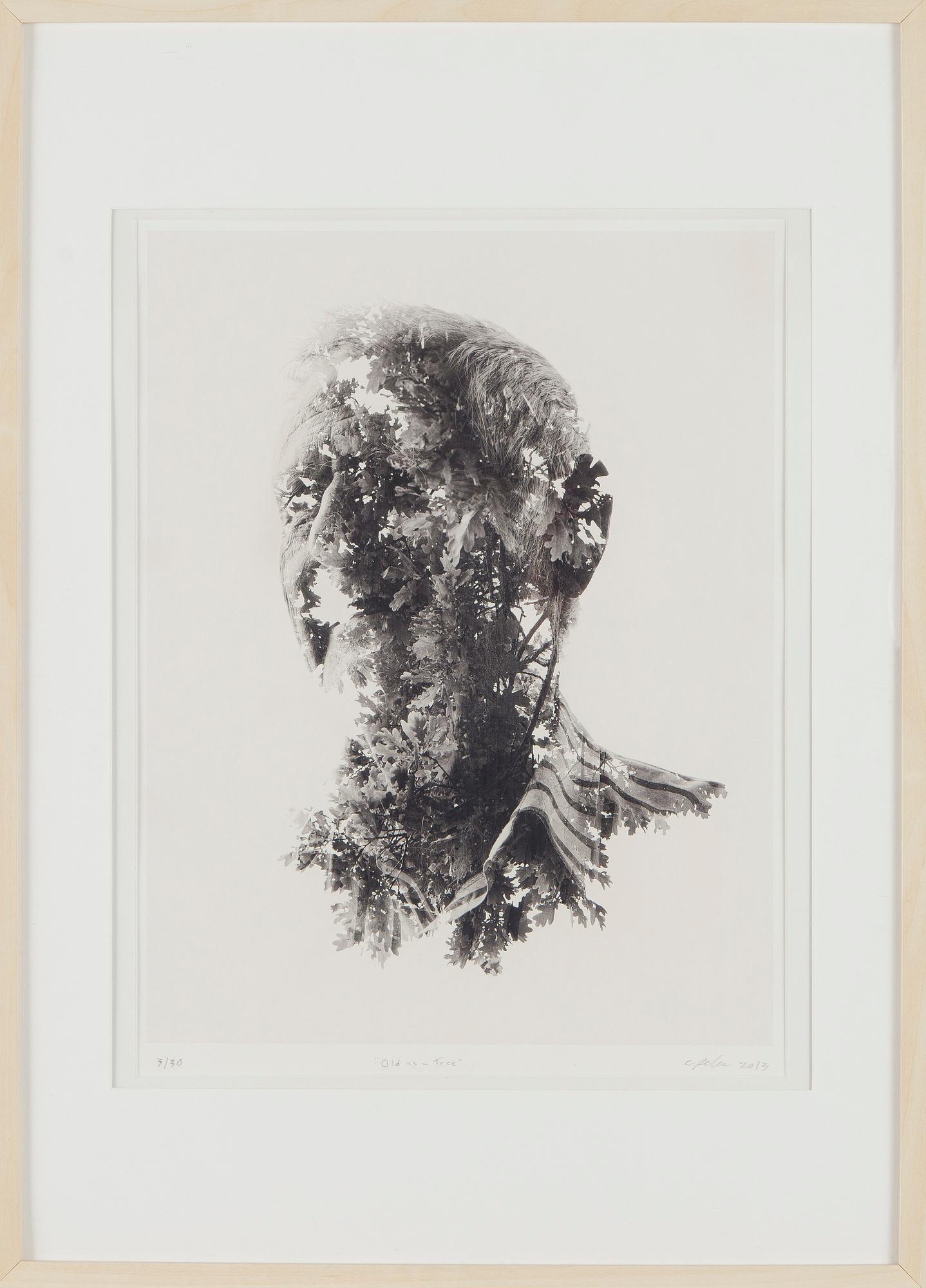 Christoffer Relander, "Old as a Tree".