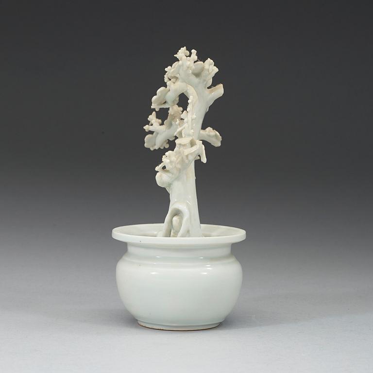 A blanc de chine miniature garden pot with a plant, Qing dynasty (1664-1912).