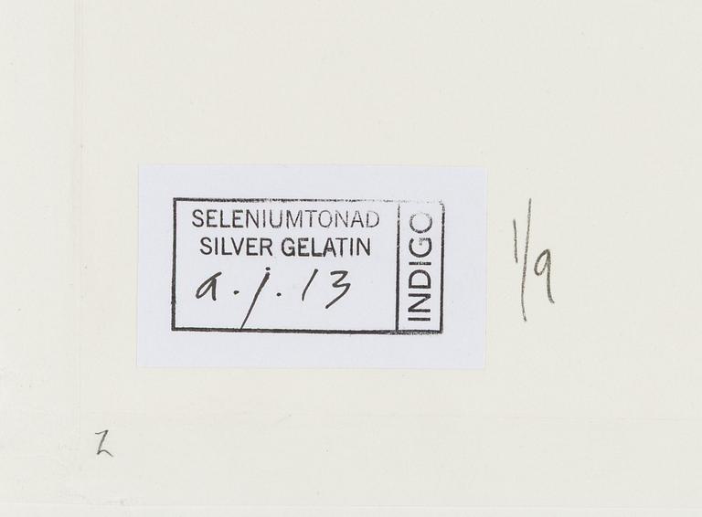 Lennart Nilsson,  "Isbjörnsjakt vid Hvitøya (Vitön), Svalbard, Norge 1947".