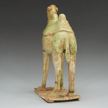 A potted green glazed figure of a camel, Tang dynasty, (618-907).