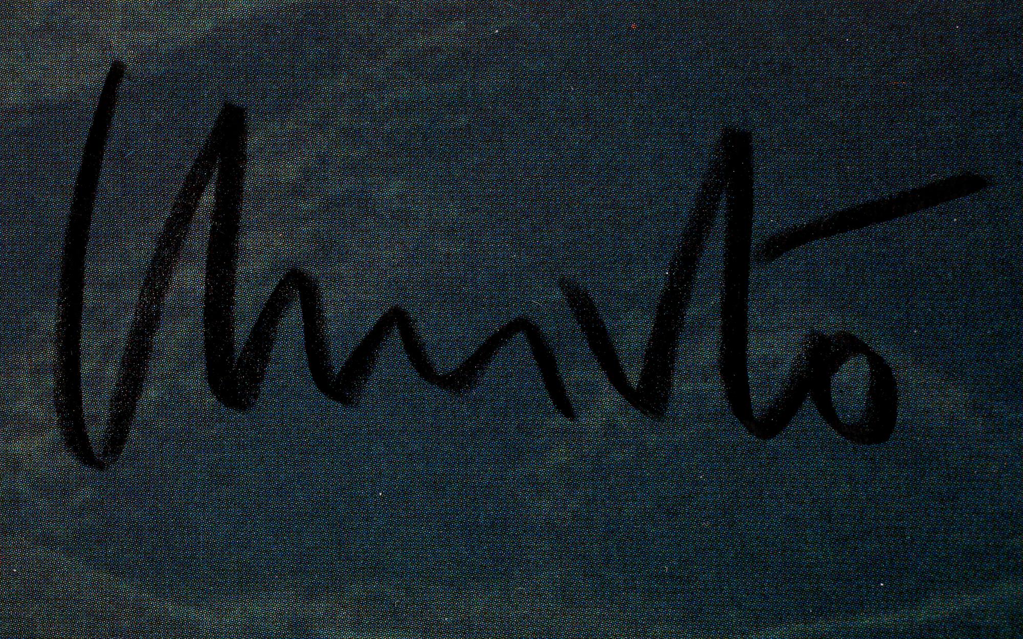 CHRISTO, affisch, sign. "The umbrellas".