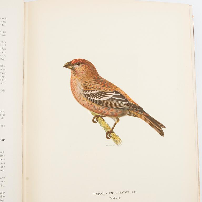 The von Wright Brothers, book works, 3 volumes, "Swedish Birds", A. Börtzells Printing Co. Ltd., Stockholm, 1924-1929.