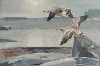 Lennart Segerstråle, Grey gulls.
