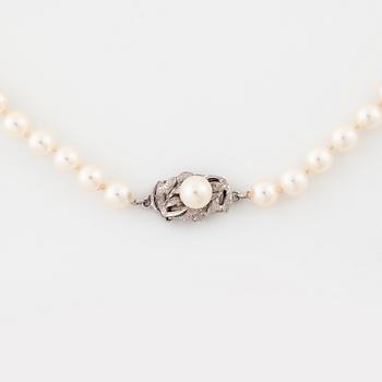 A cultured pearl necklace.