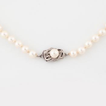 A cultured pearl necklace.