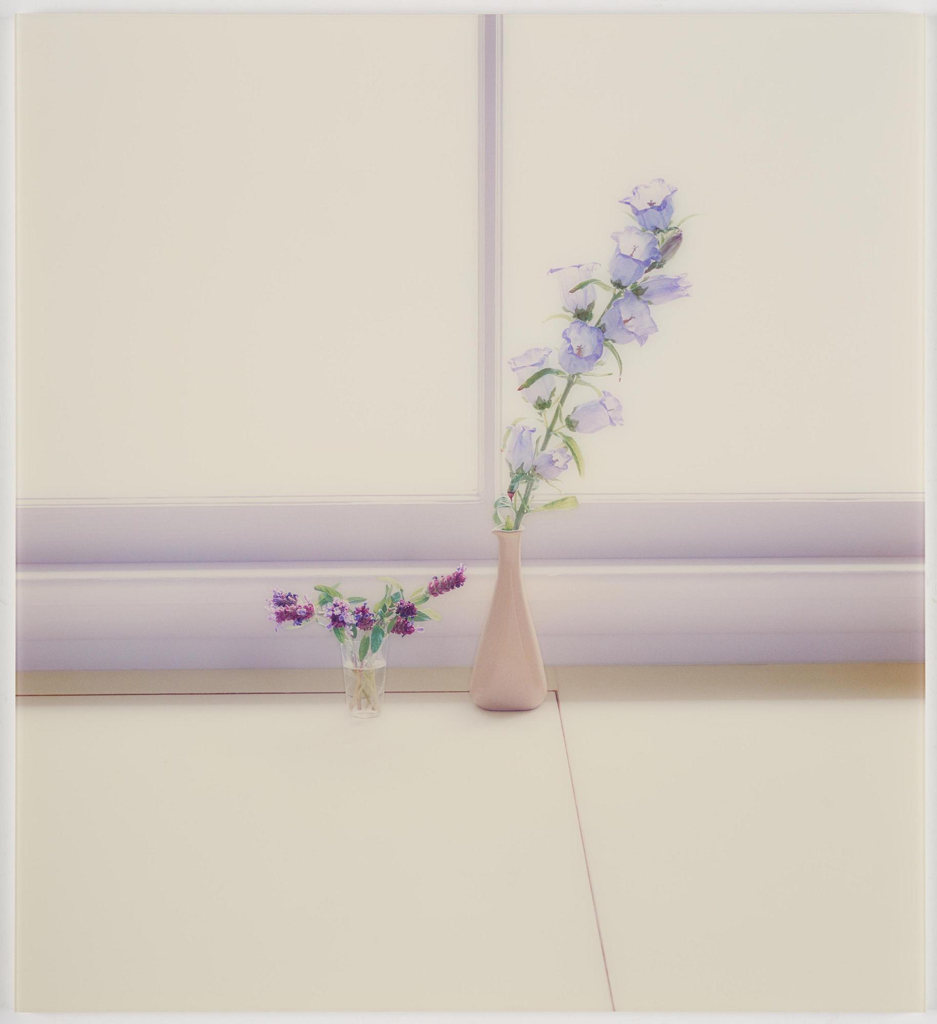 Uta Barth, "Untitled (06.11)".2006.
