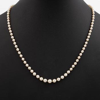 Necklace of cultured pearls, clasp in 14K gold set with old mine and rose-cut diamonds.