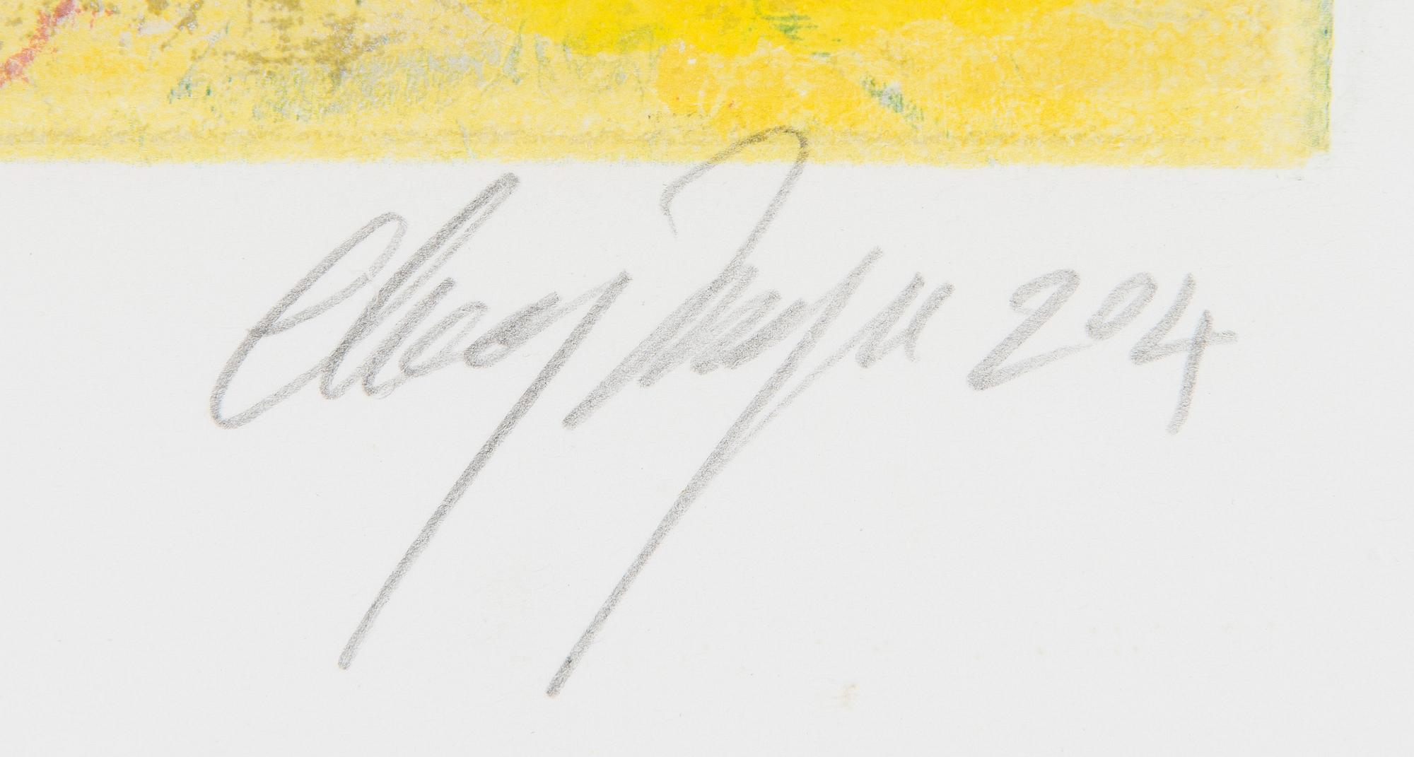 Canal Cheong-Jagerroos, Sommitelma.