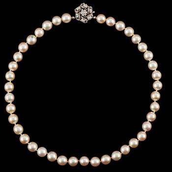 163. A cultured pearl necklace.