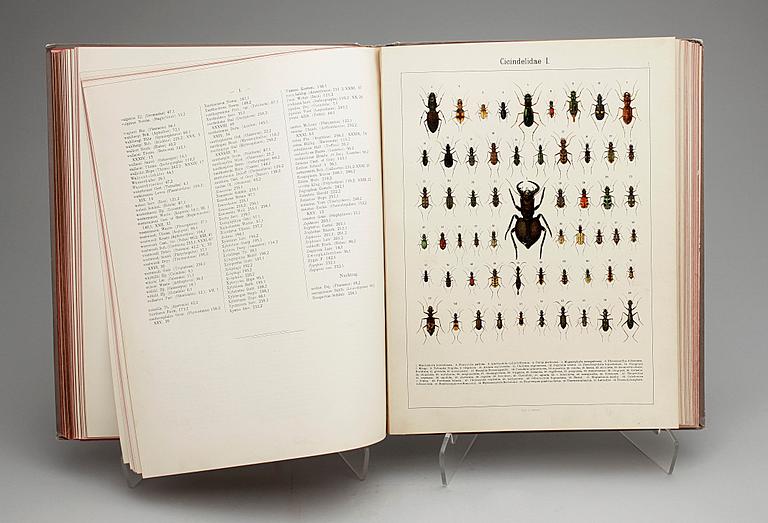 BOK, "Die exotischen Käfer in Wort und Bild" av A. Heyne, Esslingen & München 1908.