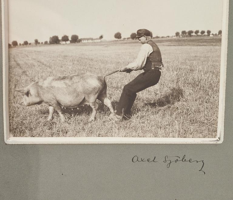 FOTOCOLLAGE, 2 st. Signerade  Axel Sjöberg. Omkring 1900.
