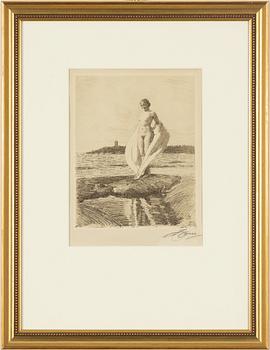 Anders Zorn, "Svanen".