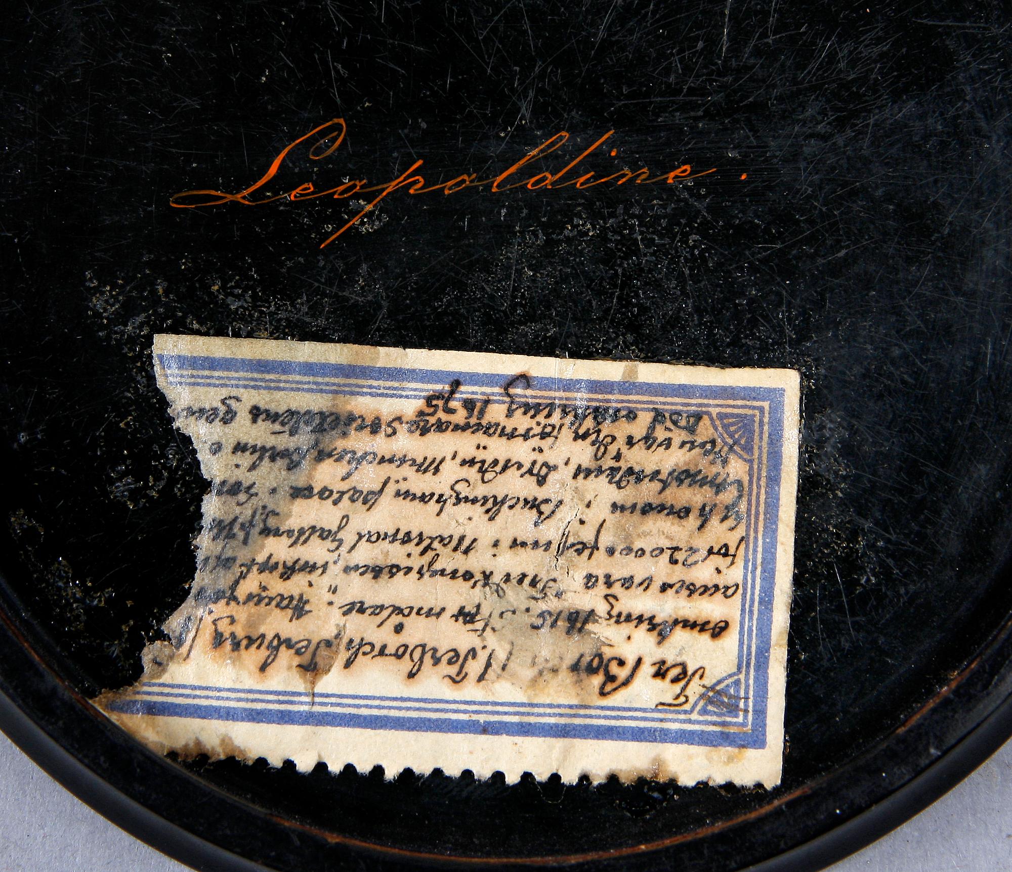 DOSA MED LOCK, lack, 1800-tal.