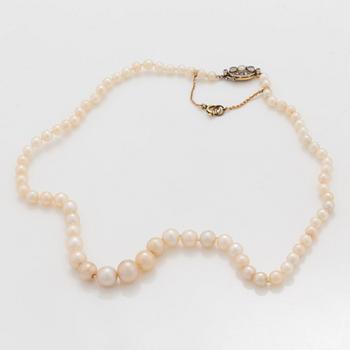 A natural saltwater pearl necklace. Pearls 3.8 8.8 mm. Clasp