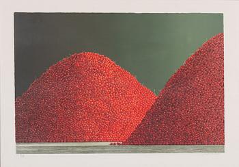 Philip von Schantz, Red currants.