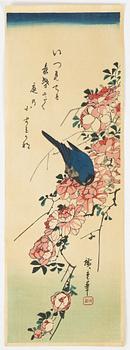 A set of 23 woodblock prints depicting birds from various artists, 20th Century.