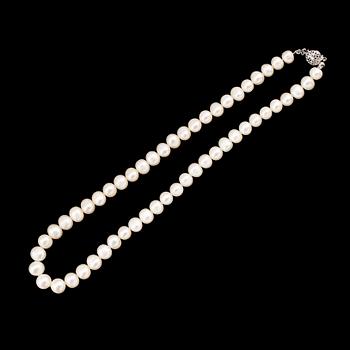PÄRLCOLLIER, odlade sötvattenpärlor.