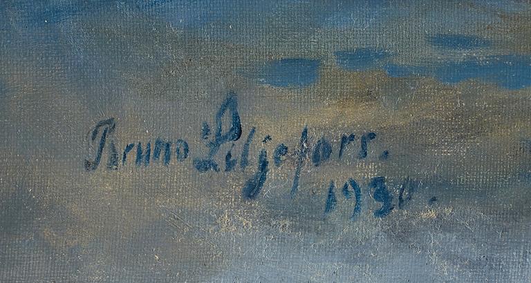 Bruno Liljefors, Sträckande sjöfåglar.