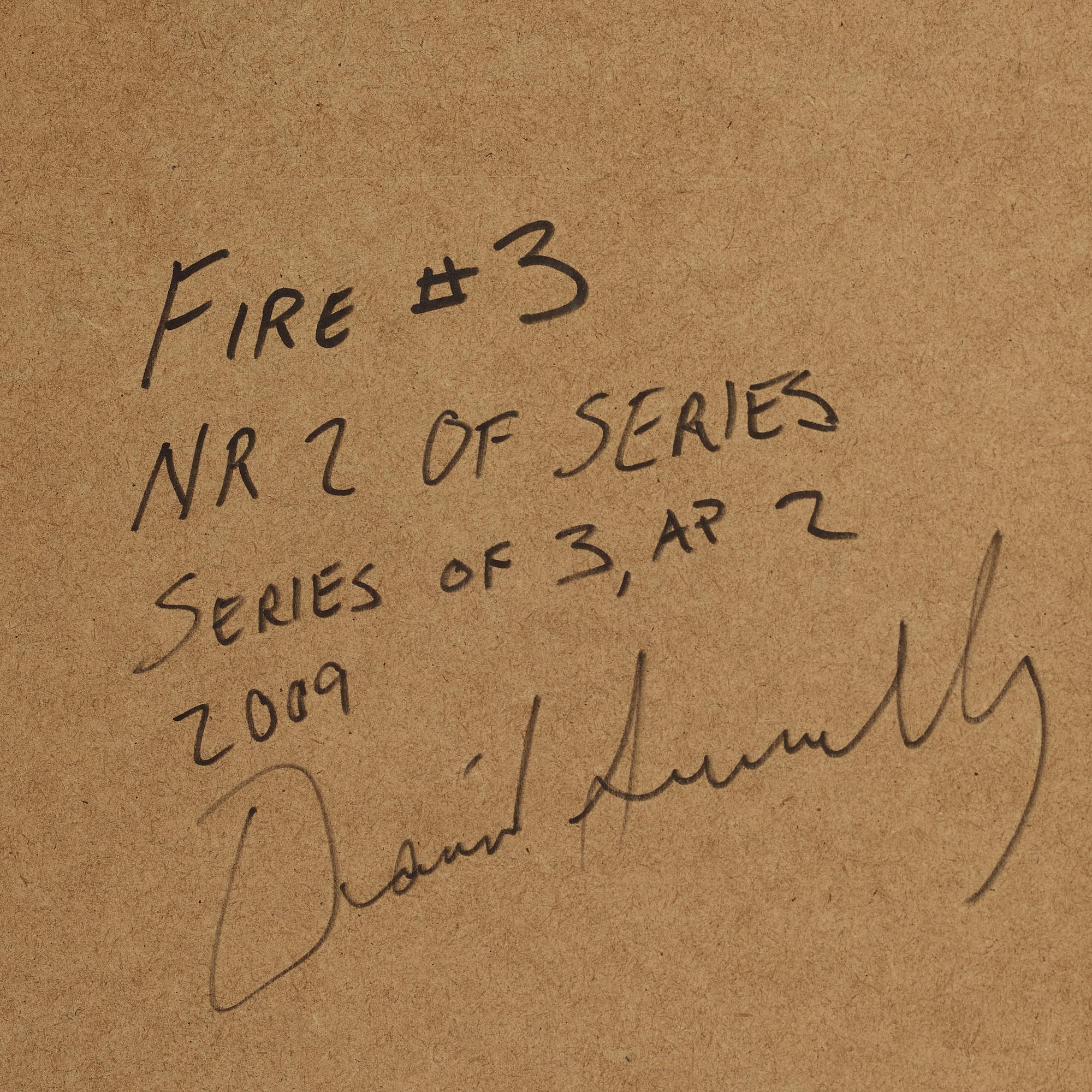 DANIEL SANDBERG, C-print silikonmonterad på glas, signerad, numrerad  2/3, daterad 2009.