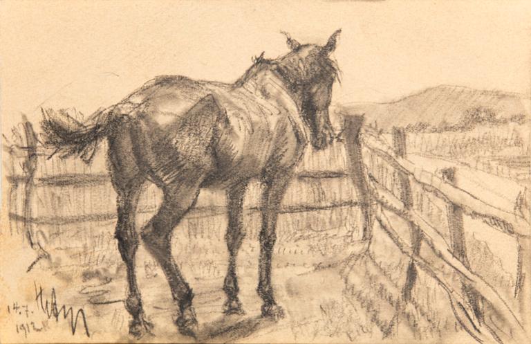 Hjalmar Asp, Animal Studies 5 pcs.