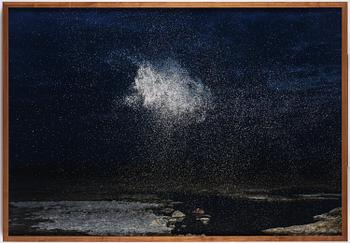Inka & Niclas Lindergård, "Becoming Wilderness V", 2013.