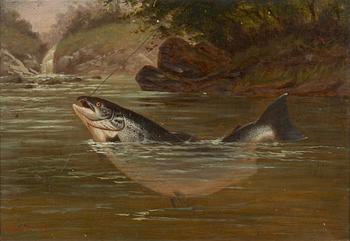 Arthur Roland Knight, Salmon Fishing.