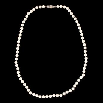 COLLIER, pärlor, odlade saltvattens pärlor med lås i silver.