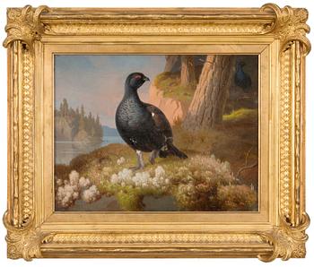 Ferdinand von Wright, BLACK GROUSES.