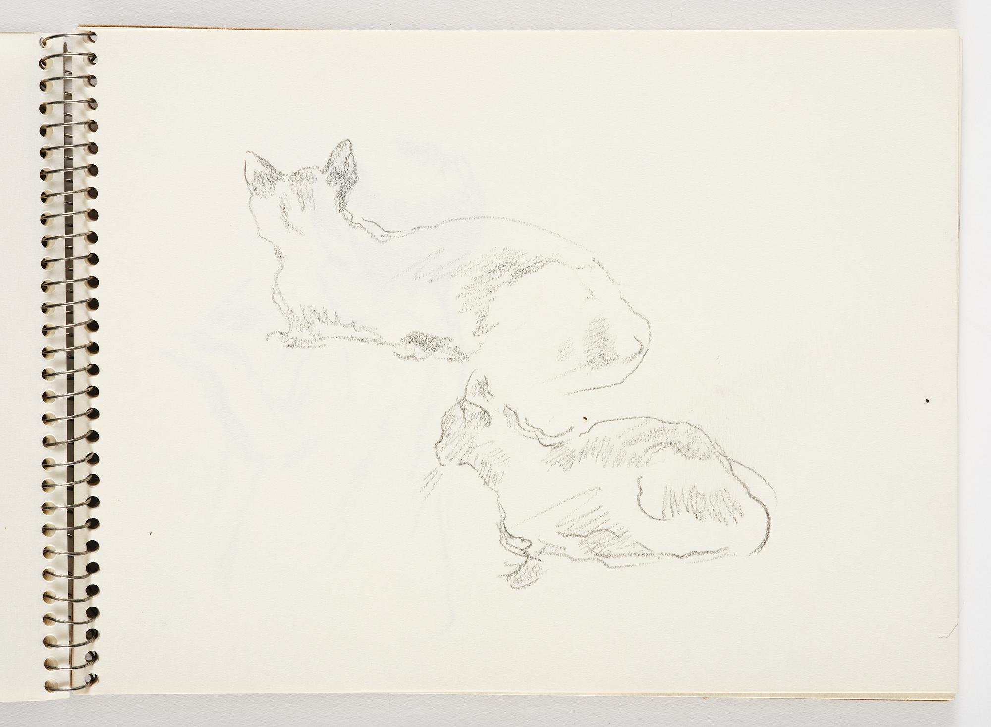 Lotte Laserstein, 4 skissböcker med blyertsteckningar.