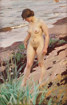 371. Anders Zorn, "Sandhamnseffekt".