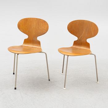 Arne Jacobsen, stolar, 6 st, "Myran", Fritz Hansen, Danmark, 1900-talets mitt.