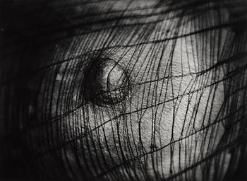 292. Christer Strömholm, "Fox Amphoux", 1987.