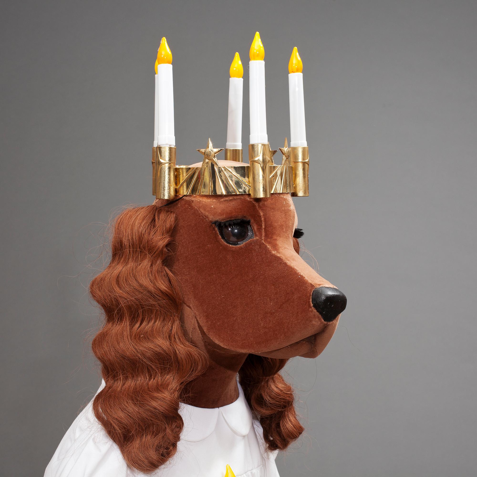 HUND, cockerspaniel "Jeremy", NK 2013, JoAnn Tan Studio.