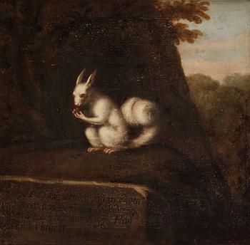 872. David Klöcker Ehrenstrahl, hans ateljé, "Vit ekorre".