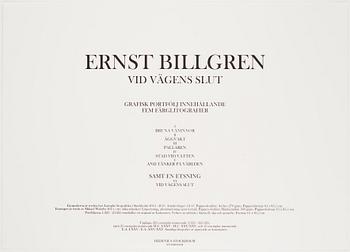 Ernst Billgren, Portfolio "Vid vägens slut".
